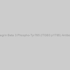 Image of Integrin Beta 3 Phospho-Tyr785 (ITGB3 pY785) Antibody